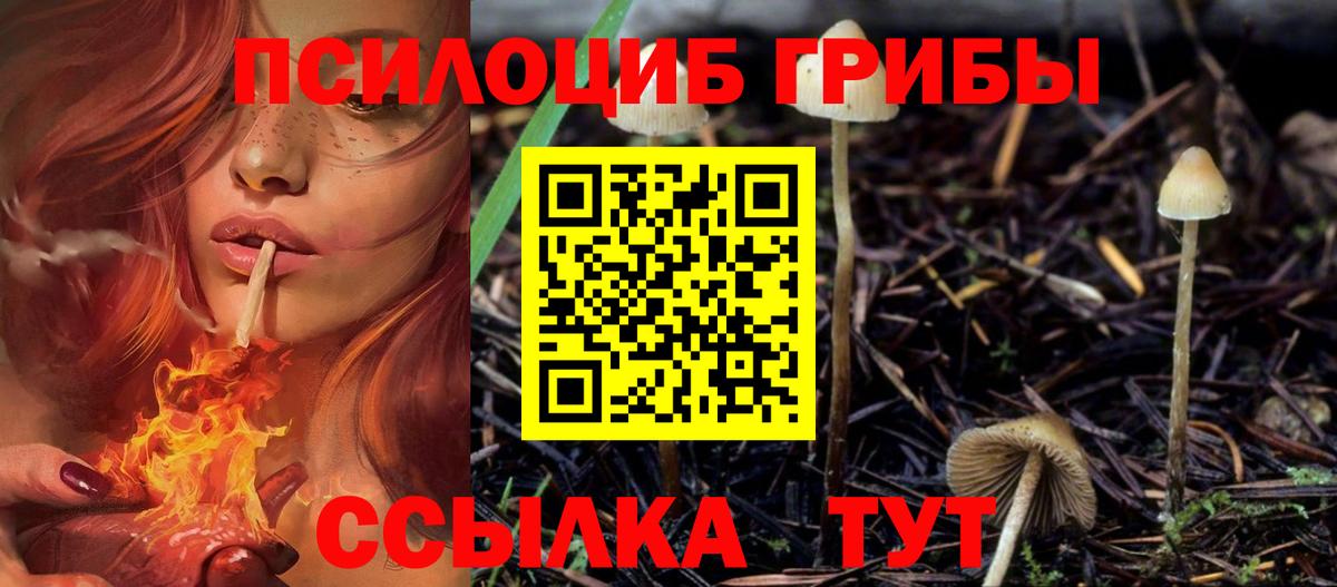 Галлюциногенные грибы GOLDEN TEACHER  Вход с VPN  Трёхгорный 